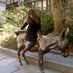 Jenny Pachucki (@jennypachucki) Twitter profile photo