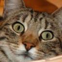 Lee Goodin - @leegoodin - Twitter