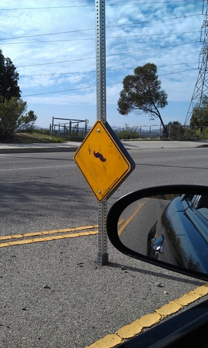 signs25's profile picture. 