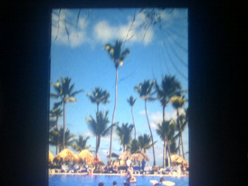 daltoncd2000's profile picture. I'm 13 I like dirt Biking and. Hunting and gaming.  I'm my goal is 200 followers Please Help