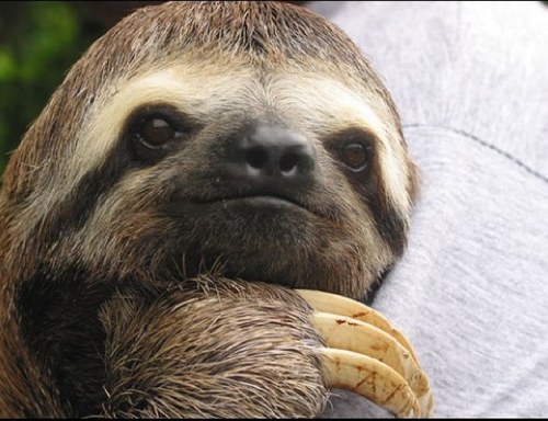 laugh_shart's profile picture. I love making people laugh:) And shart