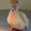 Suzanne Bates - @msbates - Twitter