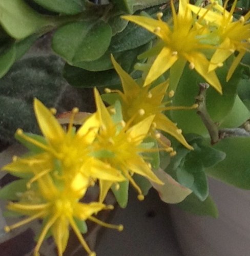 Lara1469's profile picture. 