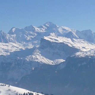 dof0412's profile picture. 