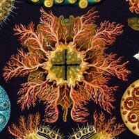 PrakashLab (@prakashlab) 's Twitter Profile