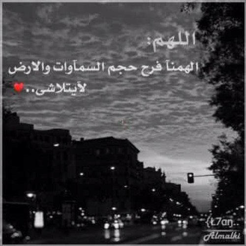 33Rammma's profile picture. " سيفعلُ الله شيئًا ، لم تكُن تتوقعه ".