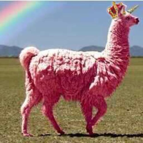 I'm a pink, golden horned llamacorn that farts skittles and rainbows. I don't care about you or your feelings.