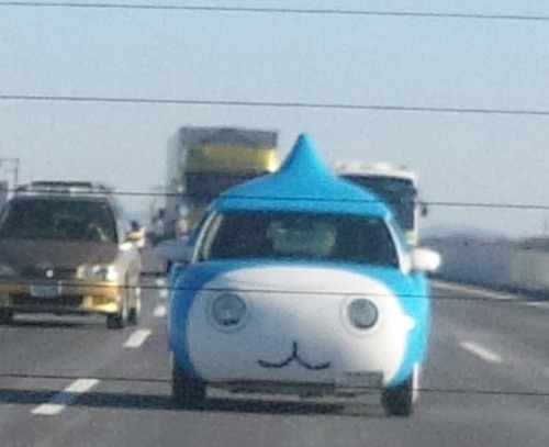 doadoa115's profile picture. 