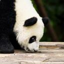 David Walther - @ZionDavid - Twitter