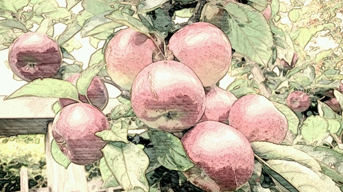 gokubutotin's profile picture. ただエロいだけの男。
視姦。目で犯したい。