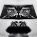 5oh4Peedi (@peedi504) Twitter profile photo