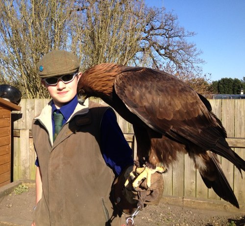 Professional 2nd whip / birdman for the north shropshire foxhounds. 2/3 years then kennel huntsman.