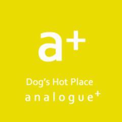 analoguefit's profile picture. + Lifeblood small friends.