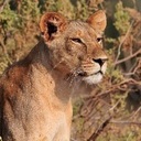 Cheryl Davies-Crook - @kasario1 - Twitter