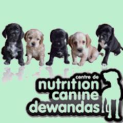 Ici histoires drôles! La-bas tout pour nos Chiens et Chats, Boutique en Ligne http://t.co/DwIIFFQCdi