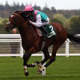 For FREE horse tips to WIN. Send your name, contact number and e-mail to: FreeHorseTipsToWin@gmail.com ENTER NOW to WIN. All entries made must be 18+