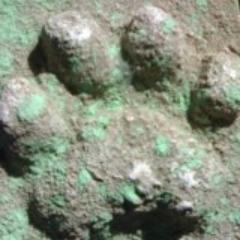 First Marathi web magazine dedicated to wildlife and environment... Wildlife articles, news, photos, videos, opinions, editorial, crowd sourced content.