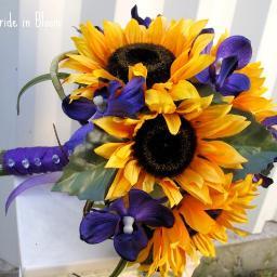 AdelaideWhite12's profile picture. Blogroll bloggers will help you to increase your rankings and improve the visibility of your website by ordering our blog review service today.