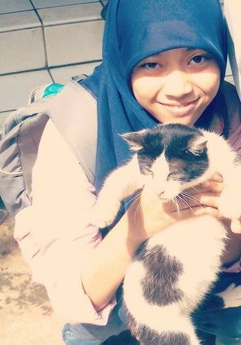 Hello kitty n kucing|