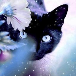 gmyashna Profile Picture