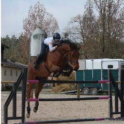 Je m'appelle Clara et j'ai 14 ans. Je suis fan de M. Pokora, mon idole! Je fais aussi de l'équitation, ma passion! Je follow back !