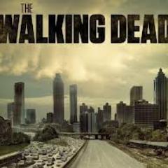 The Walking Dead
New to Twitter so posting tweets about the show and my opinions daily!
Pretty much the only TV show I enjoy
~my one love~