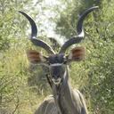 Brian Rothwell - @cdwbxr - Twitter