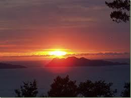 federicopujales's profile picture. La vida no se ha hecho para comprenderla, sino para vivirla