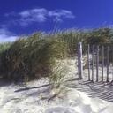 Richard Cauley - @bluewheat - Twitter