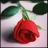 alshaqsi6's profile image