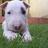 Profile Picture of Cilla (@@ceciliache7) on Twitter