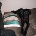 Aiden Kenny - @AidenKenny1 - Twitter