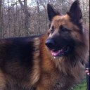 Dan Lunn - @DandyLunn - Twitter