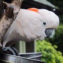 Mary Stack - @Stackanon - Twitter