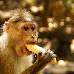 Hhhurtsik's profile picture. 