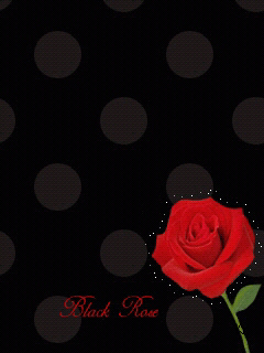 rule77777's profile picture. 2016년 언론농단, 정언유착 절대로 잊지 않으리!