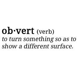 to turn something so as to show a different surface, artist / filmmaker plus more...