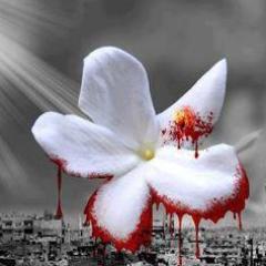 akbamelhem's profile picture. 