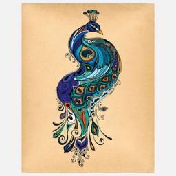 ShilohKelly22's profile picture. Get your website reviewed by users and independent editors or bloggers. you will get honest opinion about your product and services