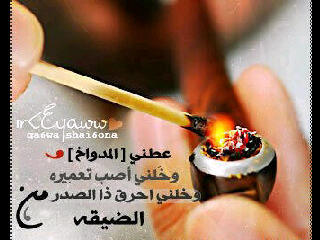 top_wwwbdbd1111's profile picture. ازغب  سوالب وقحاب وممحونين