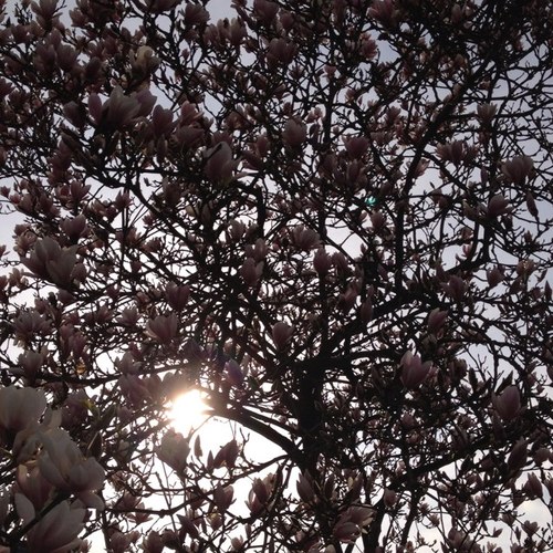 EWichelen's profile picture. 