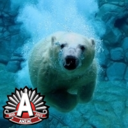 Don Carlin - @dcarl51 - Twitter