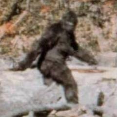 RealSkunkApe's profile picture. The artist formerly known as Snow.