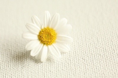 leeyoung0419's profile picture. 