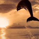 Damon Colbert - @DamonColbert - Twitter