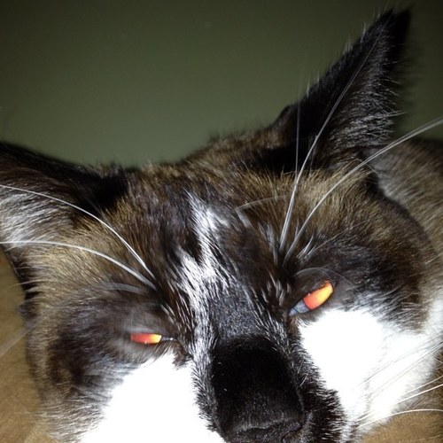 ncgrecon's profile picture. 