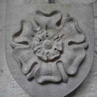 Áine Ryall (@envjusticeucc) 's Twitter Profile