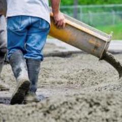 globalphoenix13's profile picture. 