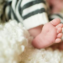 FelixP_13's profile picture. 