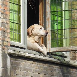 Lopezquack's profile picture. 